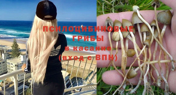 МДПВ Медногорск