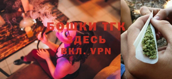 прущие грибы Медвежьегорск