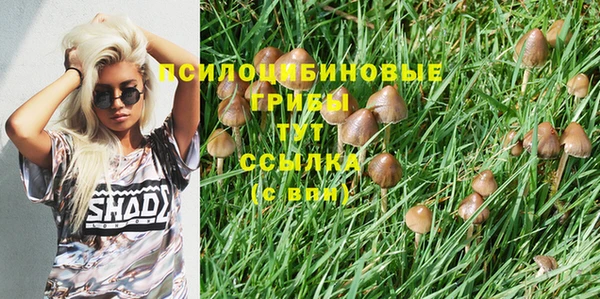 МДПВ Медногорск