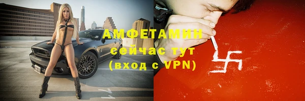 прущие грибы Медвежьегорск