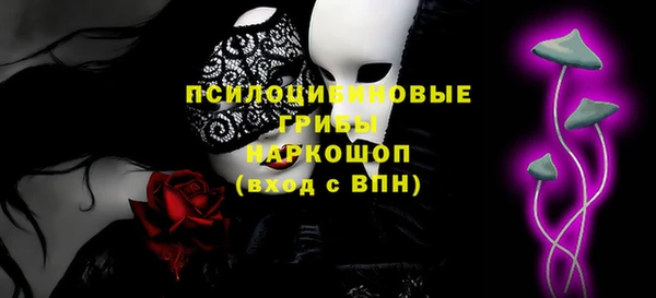 МДПВ Медногорск