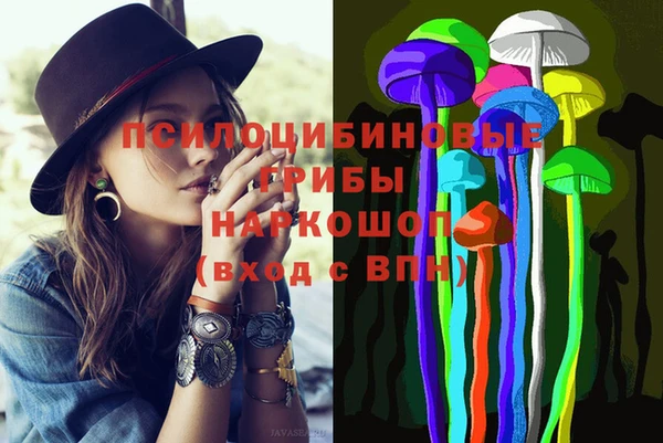 СК Мегион
