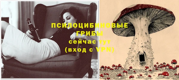 прущие грибы Медвежьегорск