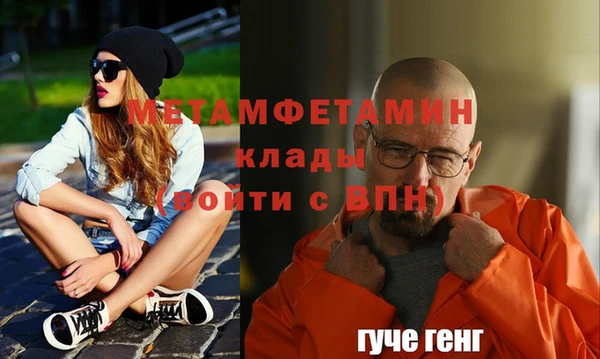 прущие грибы Медвежьегорск