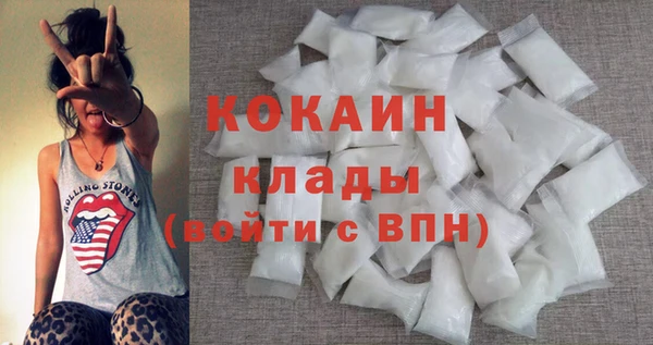 прущие грибы Медвежьегорск