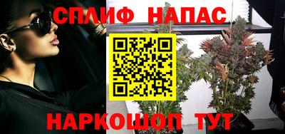 спиды Кимры