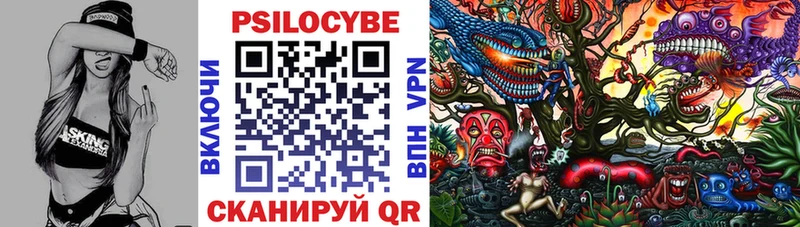 Галлюциногенные грибы Cubensis Чернушка