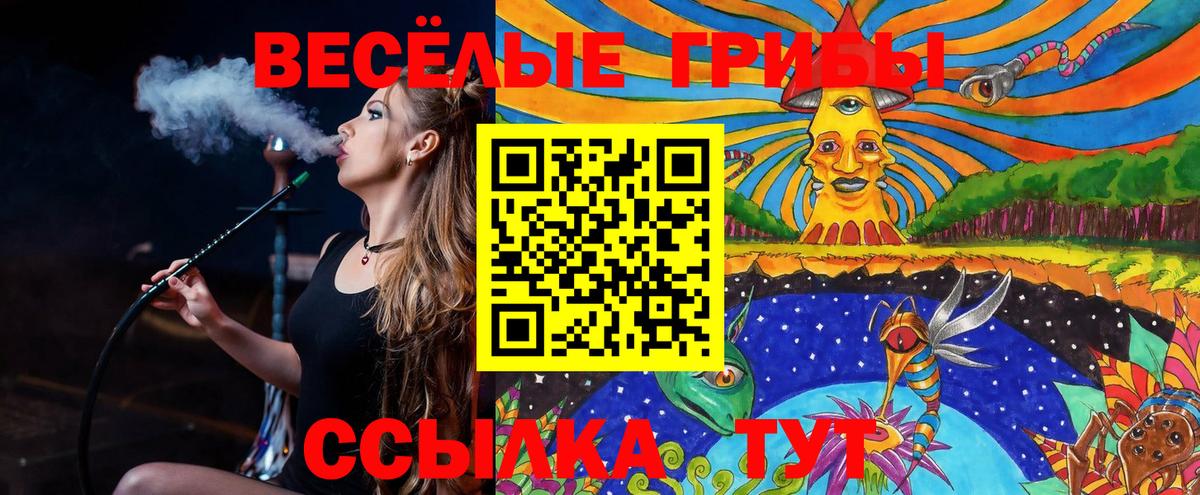 магазин  наркотиков  Псилоцибиновые грибы Cubensis  Чернушка  Галлюциногенные грибы мицелий 