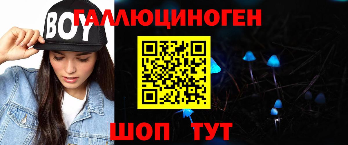Галлюциногенные грибы Psilocybe  Вход с VPN  Чернушка 